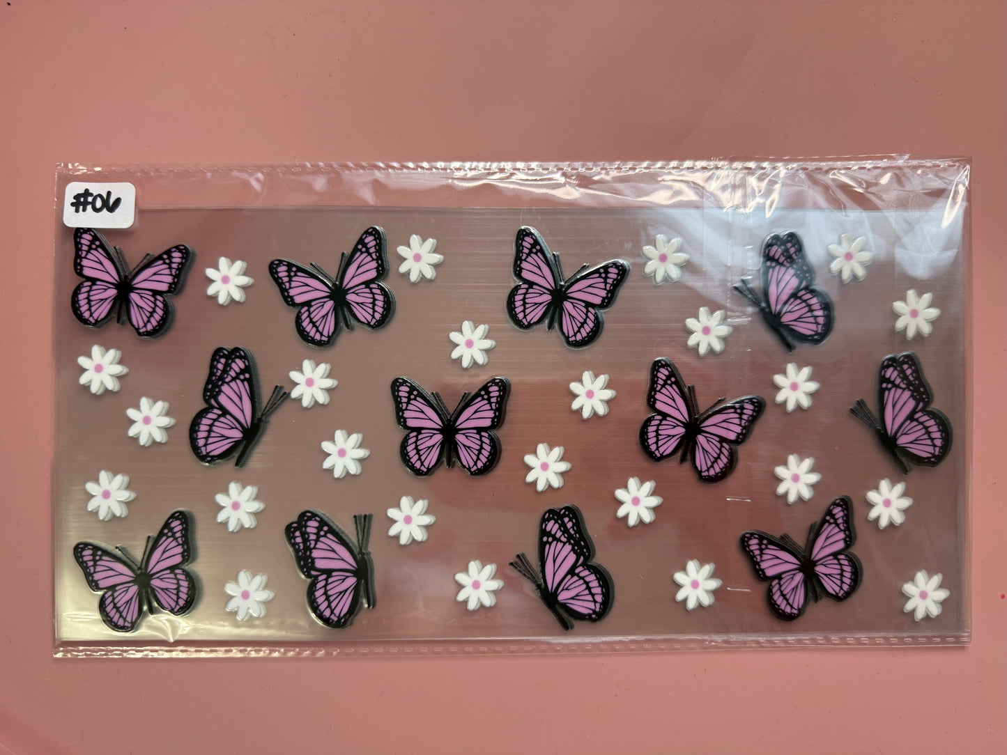 Insect