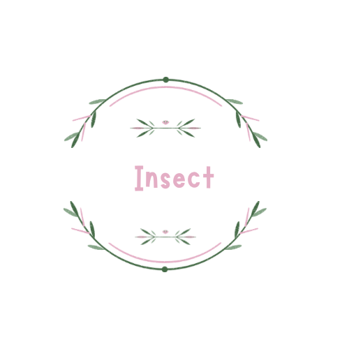 Insect