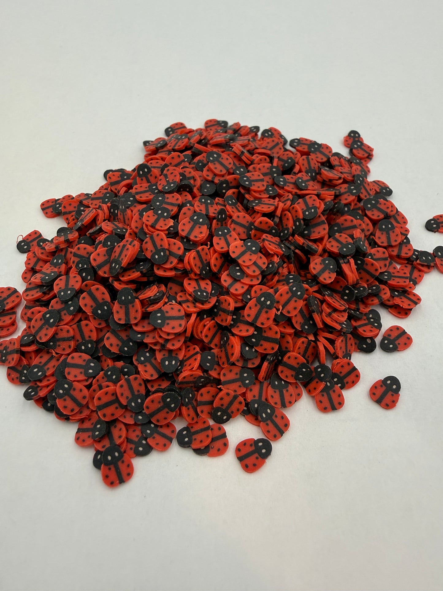 Ladybug