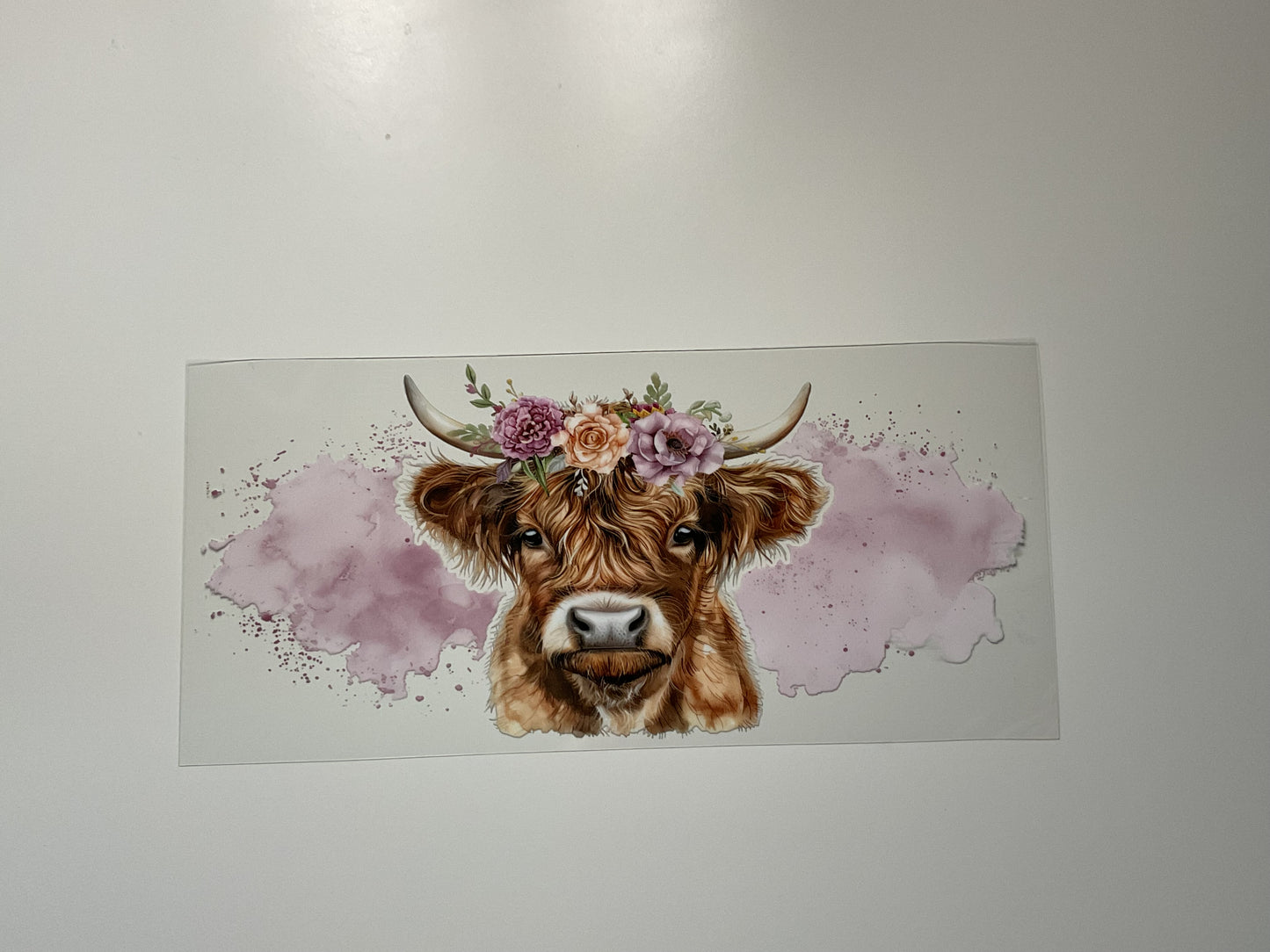 H land cow