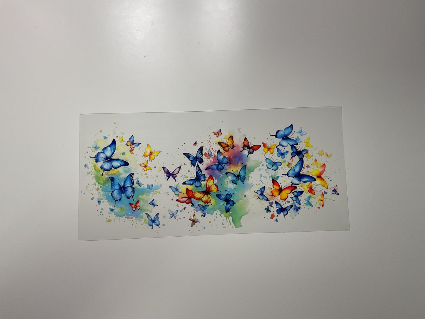 Butterfly/Bee/Etc.