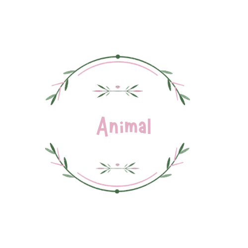 Animal