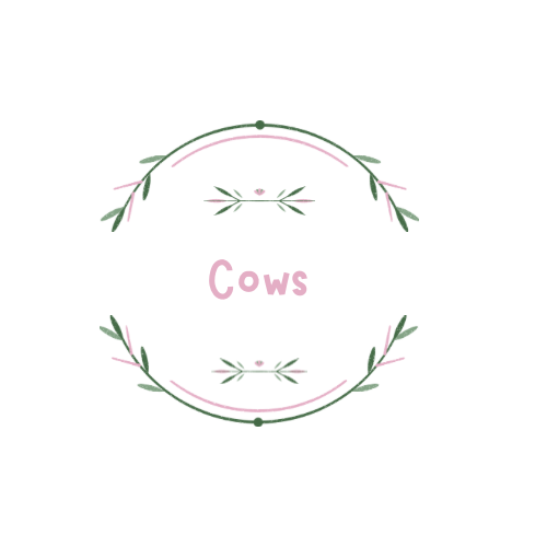Cows