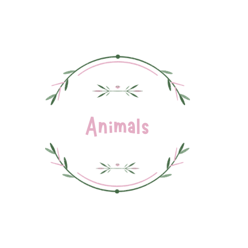 Animals